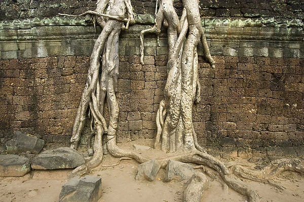 Ruins at Ta Prohm Temple