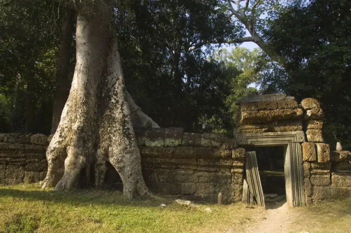 Framed Print : Ruins at Ta Prohm Temple Framed Print : Ruins at Ta Prohm Temple