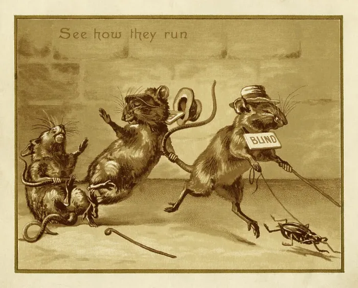 Framed Print : See how they run Framed Print : See how they run