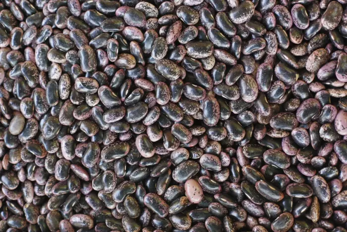 Framed Print : Runner beans, farmers market at Kaiser-Josef Platz square, Graz, Styria, Austria, Europe Framed Print : Runner beans, farmers market at Kaiser-Josef Platz square, Graz, Styria, Austria, Europe