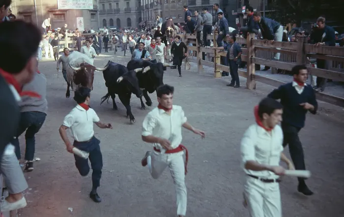 Framed Print : Running Of The Bulls Framed Print : Running Of The Bulls