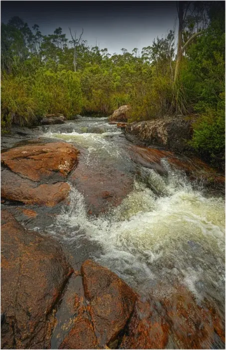 Framed Print : Running stream in the Hartz mountains national park, part of the world heritage wilderness, Tasmania Framed Print : Running stream in the Hartz mountains national park, part of the world heritage wilderness, Tasmania
