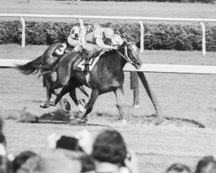 Framed Print : Running of the Whitney Stakes at Saratoga Framed Print : Running of the Whitney Stakes at Saratoga