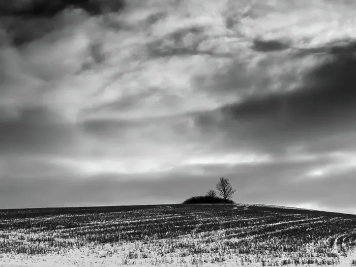 Framed Print : Rural idyllic winter scene with lone bare tree, february fields Framed Print : Rural idyllic winter scene with lone bare tree, february fields
