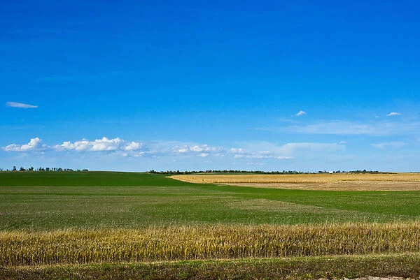 Rural landscape, Nebraska Panhandle, Nebraska, USA