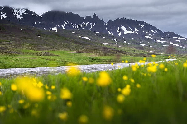 Rural landscape scene of Iceland