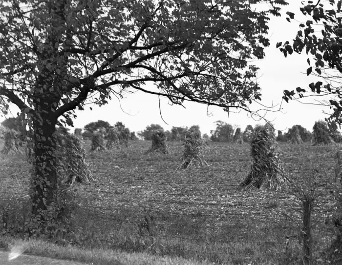 Framed Print : Rural scene
