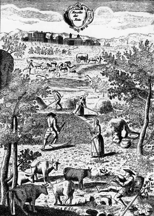 Framed Print : Rural Scene Of Harvesting In France Framed Print : Rural Scene Of Harvesting In France