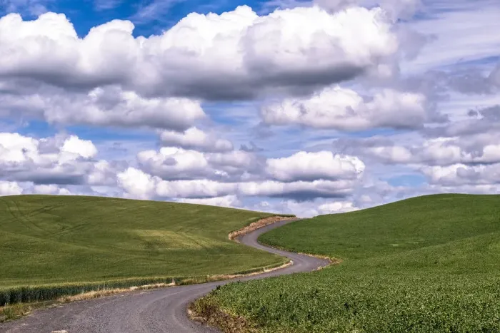 Framed Print : Rural scene with winding road on cloudy day, Palouse, Washington State, USA Framed Print : Rural scene with winding road on cloudy day, Palouse, Washington State, USA