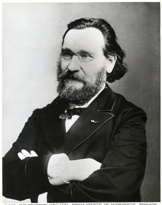 Framed Print : Russian Zoologist Elie Metchnikoff Framed Print : Russian Zoologist Elie Metchnikoff