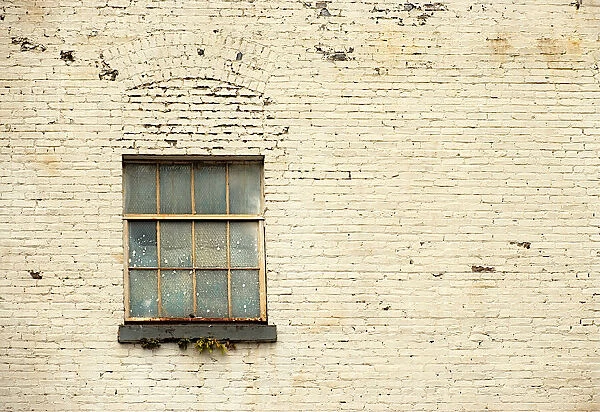 Rusted Window