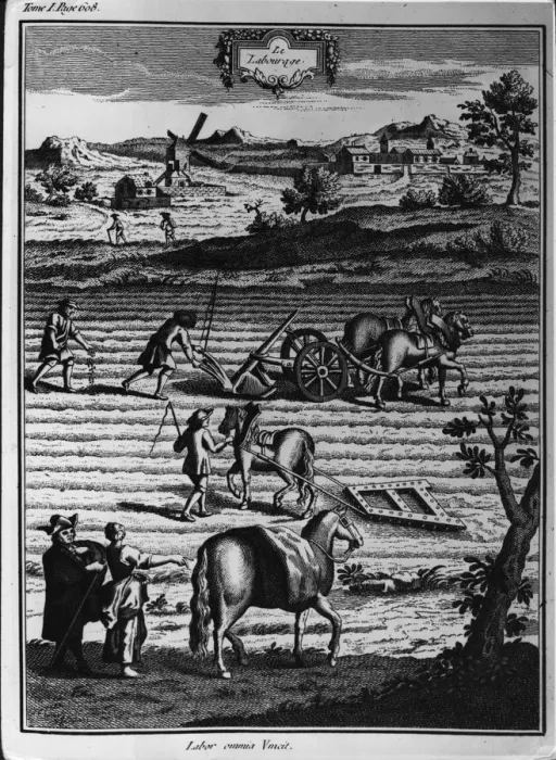 Framed Print : Rustic Scene Framed Print : Rustic Scene