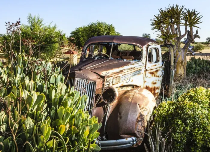 Framed Print : Rusty vintage car surrounded by plants, Karas, Namibia Framed Print : Rusty vintage car surrounded by plants, Karas, Namibia