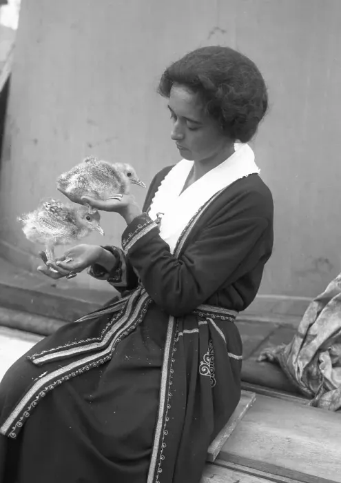 Framed Print : Ruth Rose Holding Two Seagull Chicks Framed Print : Ruth Rose Holding Two Seagull Chicks