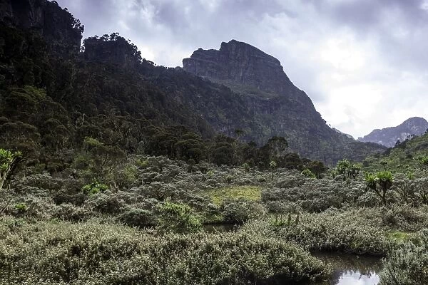 Rwenzori Mountain National Park
