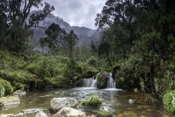 Framed Print : Rwenzori Mountains National Park, Uganda Framed Print : Rwenzori Mountains National Park, Uganda