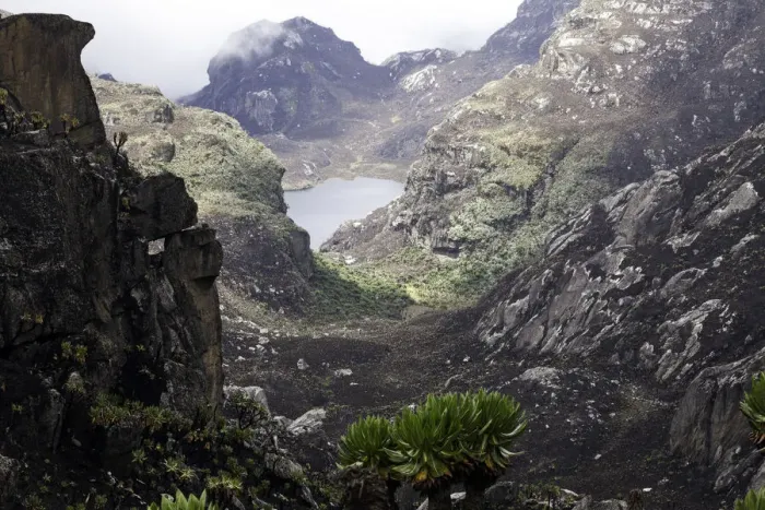 Framed Print : Rwenzori Mountains, Uganda Framed Print : Rwenzori Mountains, Uganda