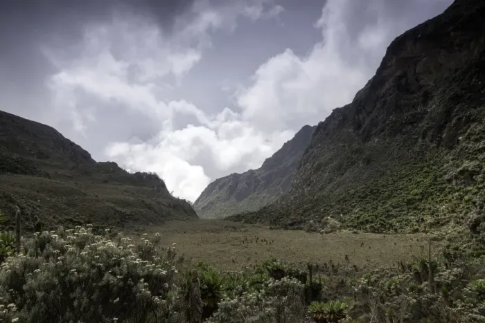 Framed Print : Rwenzori Mountains, Uganda Framed Print : Rwenzori Mountains, Uganda