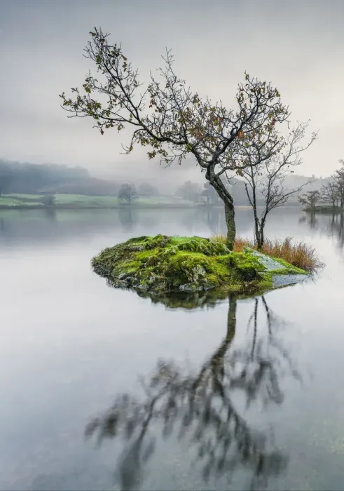 Framed Print : Calm. Rydal Water, The Lake District, Cumbria, UK