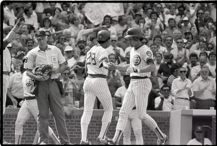 Framed Print : Ryne Sandberg Greeted As Crossing Home Framed Print : Ryne Sandberg Greeted As Crossing Home