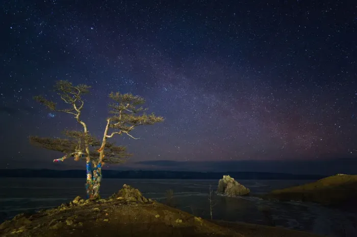 Framed Print : Sacred tree of Baikal lake at nigt