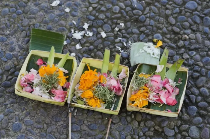 Framed Print : Sacrificial offerings, petals in the street, Ubud, Bali, Indonesia