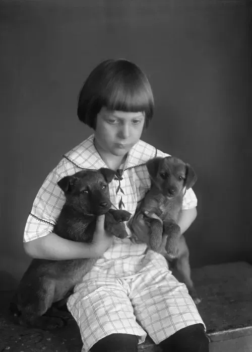 Framed Print : Sad girl with two puppies, studio shot Framed Print : Sad girl with two puppies, studio shot