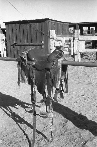 Saddle on wooden fence, (B&W)