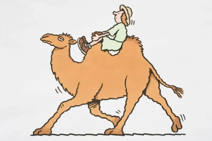 Framed Print : Safari tourist riding a camel Framed Print : Safari tourist riding a camel