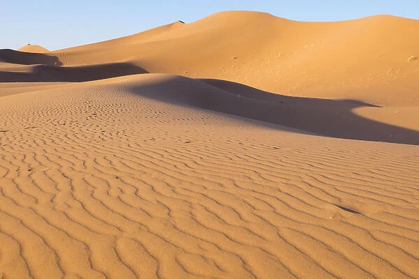 Saharan sand dune, Erg Chegaga, Morocco