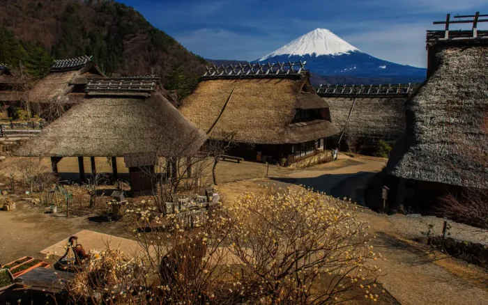 Framed Print : Saiko Iyashino-Sato Nenba with Mt Fuji