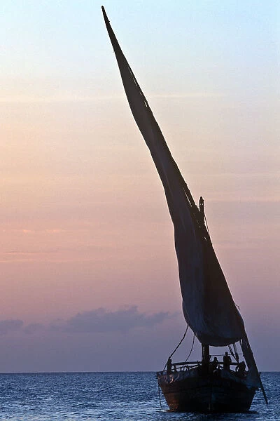 Sailing Dhow at Sunset