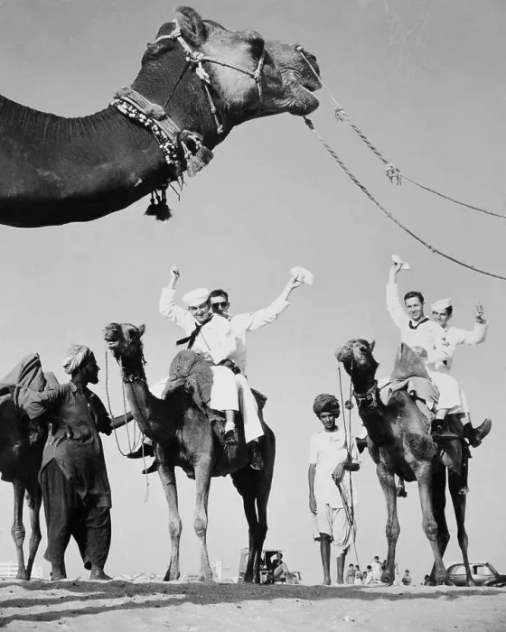 Framed Print : Sailors Riding Camels