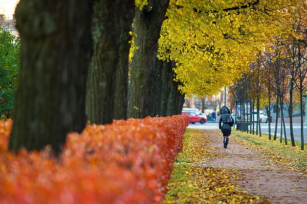 Saint Petersburg in autumn season