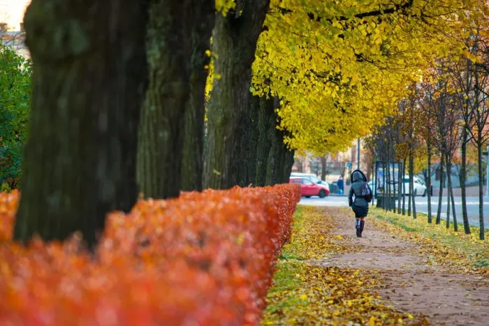 Framed Print : Saint Petersburg in autumn season Framed Print : Saint Petersburg in autumn season