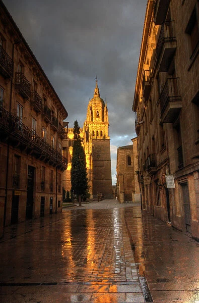 Salamanca Cathedral and Rua Mayor Street sunrise