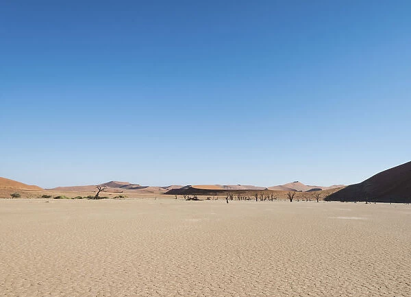 Salt and clay pan, Deadvlei, Sossusvlei, Namib Desert, Namibia