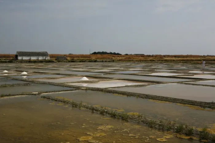 Framed Print : Salt farm, Noirmoutier-en-l?Ile, Ile de Noirmoutier, Pays de la Loire, France Framed Print : Salt farm, Noirmoutier-en-l?Ile, Ile de Noirmoutier, Pays de la Loire, France