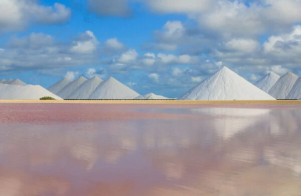 Salt industry on Bonaire (Netherlands Antilles)