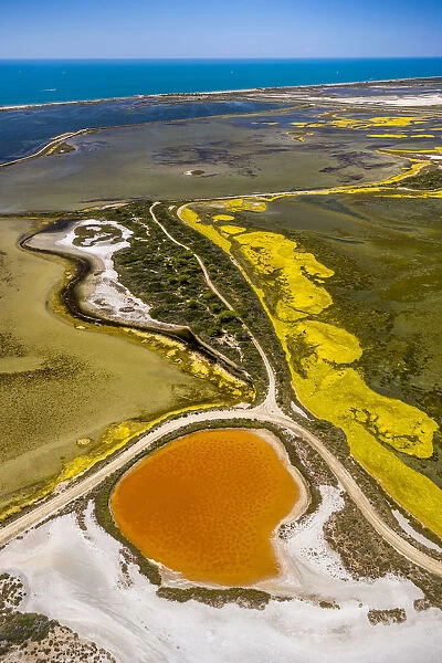Salt patterns on the surface of salt marshes, brackish water area with colourful old salines, near Aigues-Mortes, Saintes-Maries-de-la-Mer, Camargue, Provence-Alpes-Cote dAzur, France