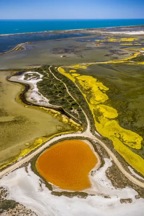 Framed Print : Salt patterns on the surface of salt marshes, brackish water area with colourful old salines, near Aigues-Mortes, Saintes-Maries-de-la-Mer, Camargue, Provence-Alpes-Cote dAzur, France