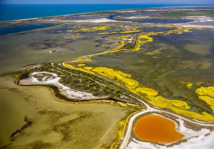 Framed Print : Salt patterns on the surface of salt marshes, brackish water area with colourful old salines, near Aigues-Mortes, Saintes-Maries-de-la-Mer, Camargue, Provence-Alpes-Cote dAzur, France