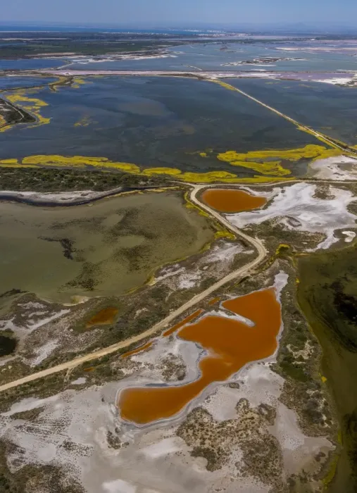 Framed Print : Salt patterns on the surface of salt marshes, brackish water area with colourful old salines, near Aigues-Mortes, Saintes-Maries-de-la-Mer, Camargue, Provence-Alpes-Cote dAzur, France