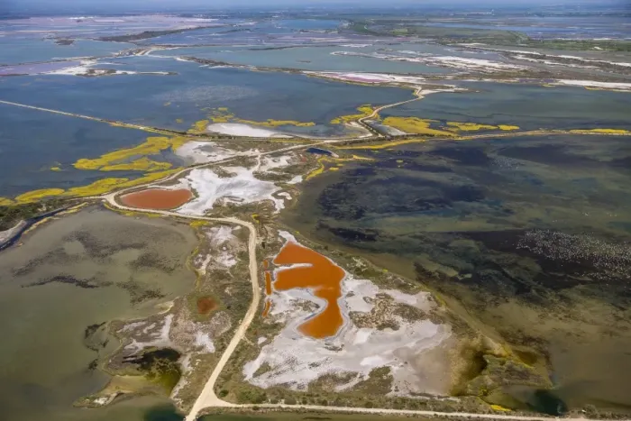 Framed Print : Salt patterns on the surface of salt marshes, brackish water area with colourful old salines, near Aigues-Mortes, Saintes-Maries-de-la-Mer, Camargue, Provence-Alpes-Cote dAzur, France