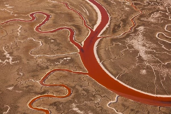 San Francisco Bay salt flats, with meandering water channels in California, USA