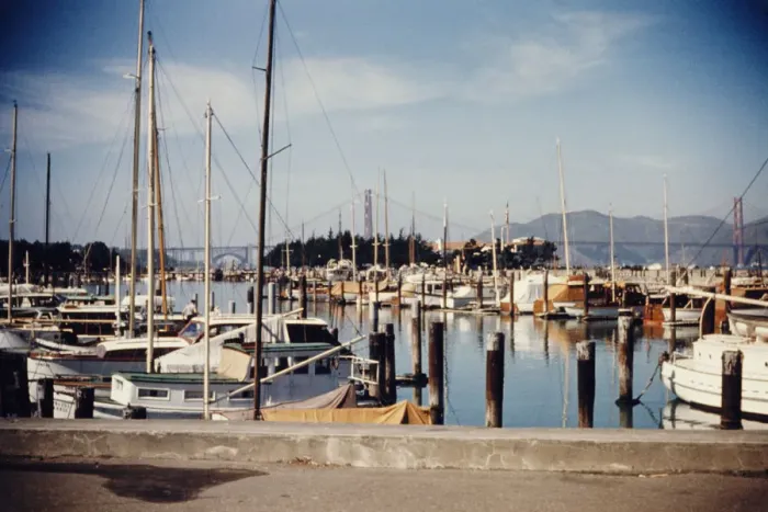 Framed Print : San Francisco Marina Framed Print : San Francisco Marina