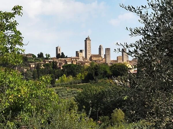 San Gimignano Medieval Towers, Tuscany, Central Italy