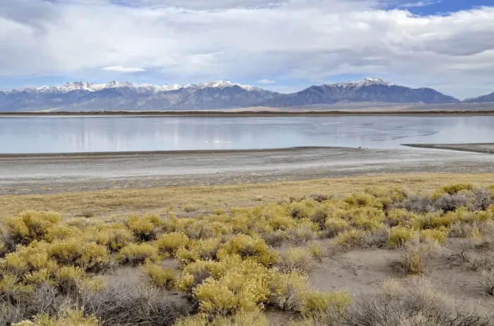 Framed Print : San Luis Lake, San Luis Lakes State Park, with Sangre de Christo Mountains at the rear, Mosca, Colorado, USA Framed Print : San Luis Lake, San Luis Lakes State Park, with Sangre de Christo Mountains at the rear, Mosca, Colorado, USA