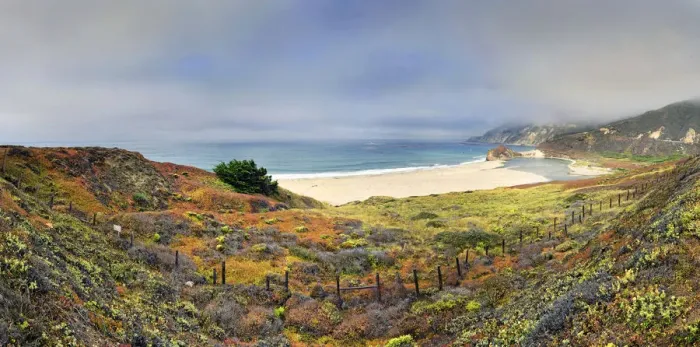 Framed Print : Sand beach on the California Pacific coast, near Point Sur, California, United States Framed Print : Sand beach on the California Pacific coast, near Point Sur, California, United States