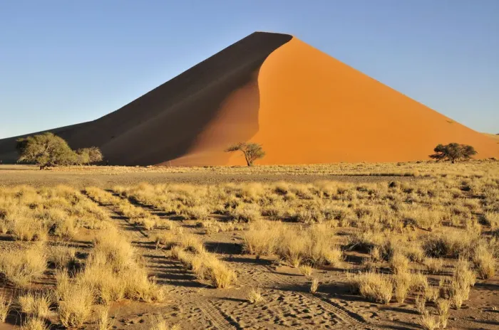 Framed Print : Sand dune in the afternoon light near Sossusvlei, Namib Desert, Namib Naukluft Park, Namibia, Africa
